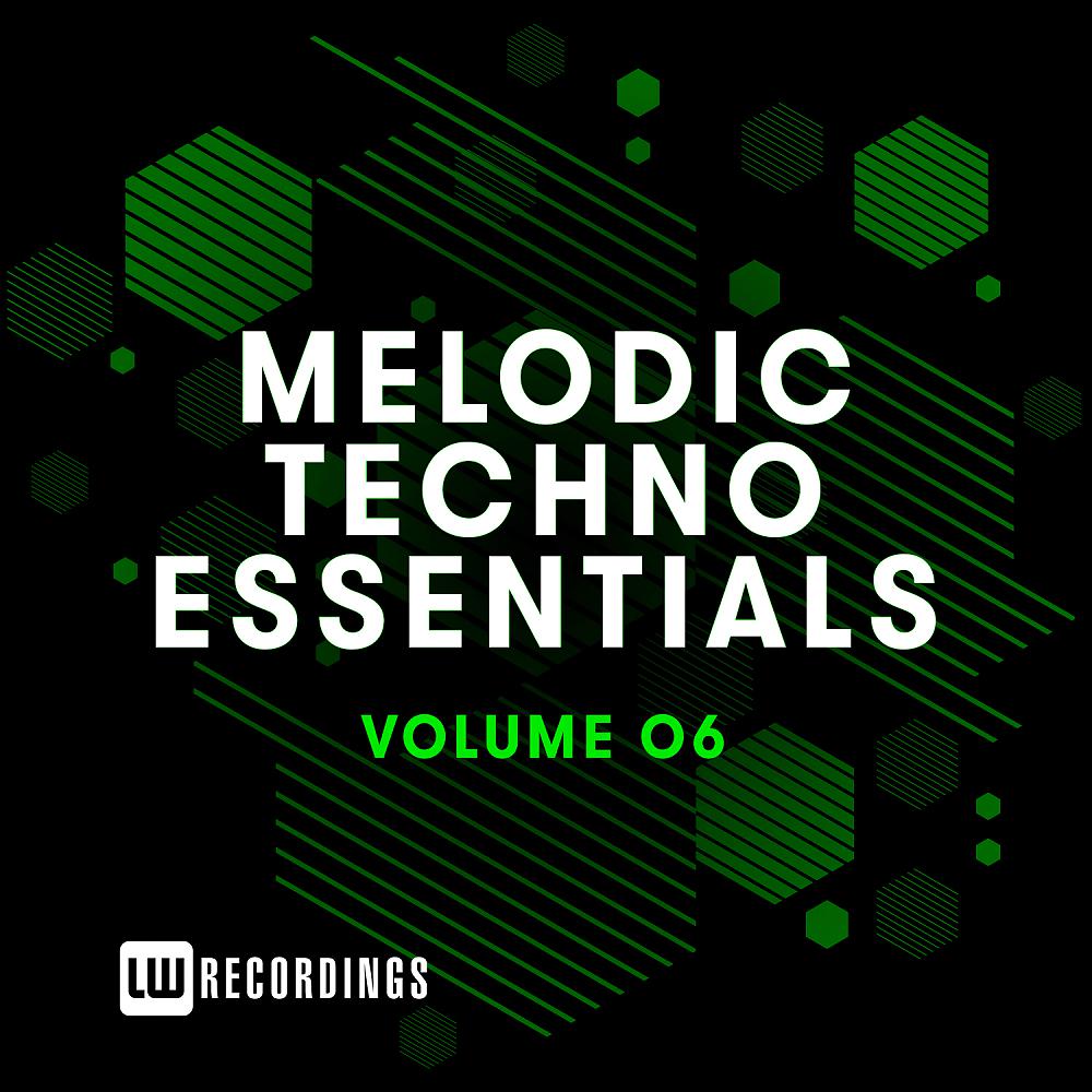 Постер альбома Melodic Techno Essentials, Vol. 06