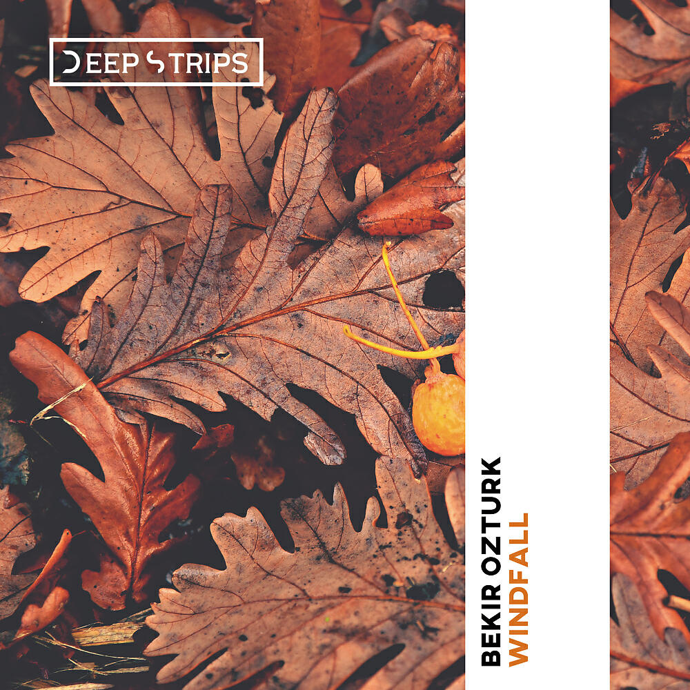 Bekir Ozturk - Windfall (Original Mix)