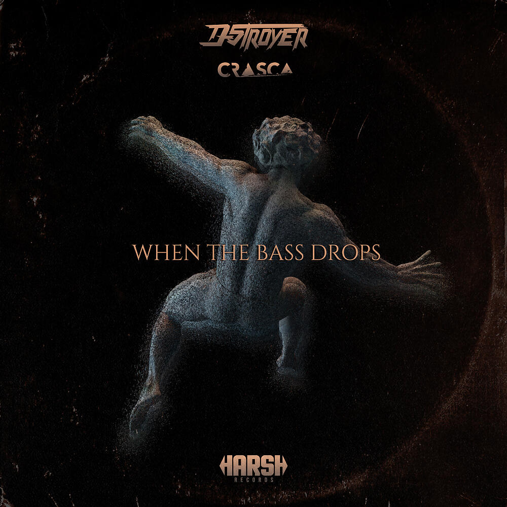 D-Stroyer - When The Bass Drops (Radio Mix)