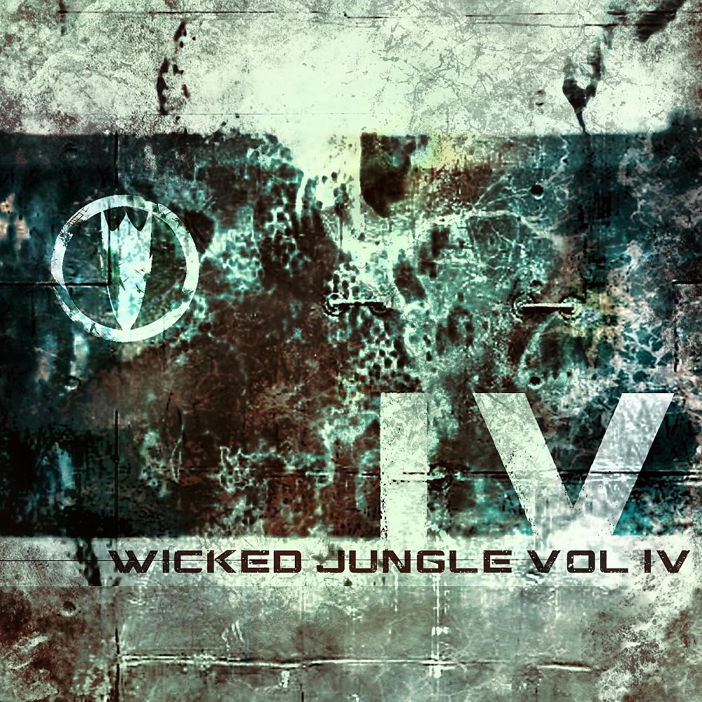 Постер альбома Wicked Jungle, Vol. 4