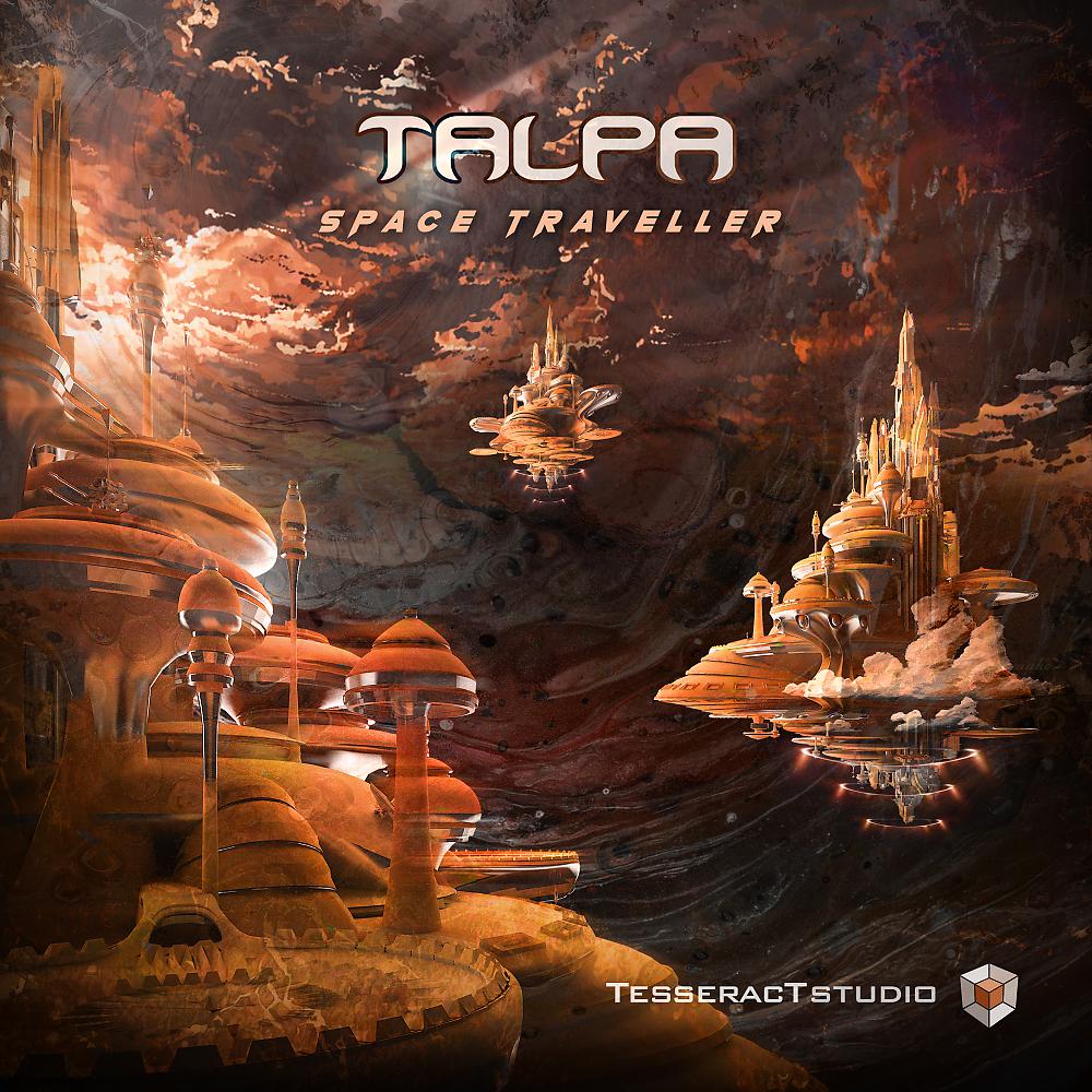 Постер альбома Space Traveller
