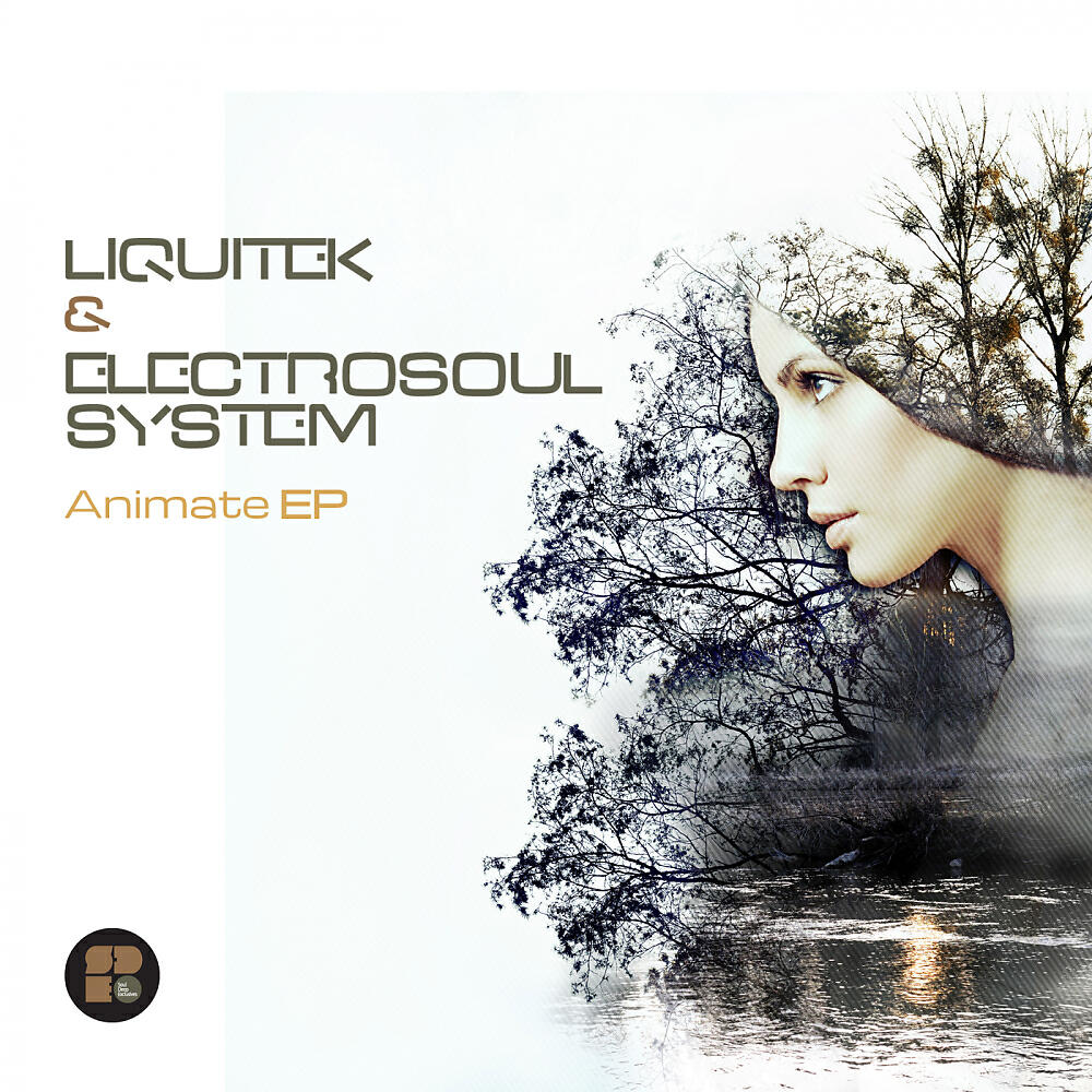 Liquitek - Space Frog (Original Mix)