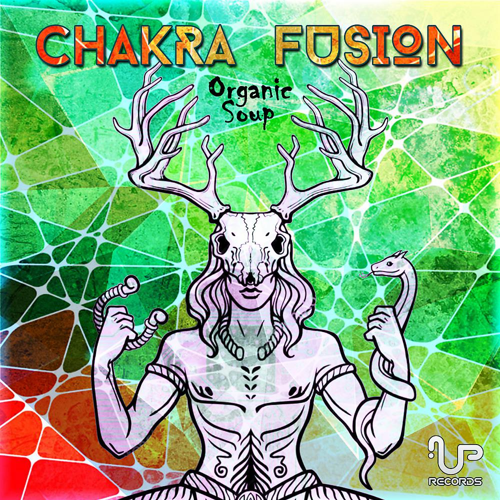 Постер альбома Chakra Fusion