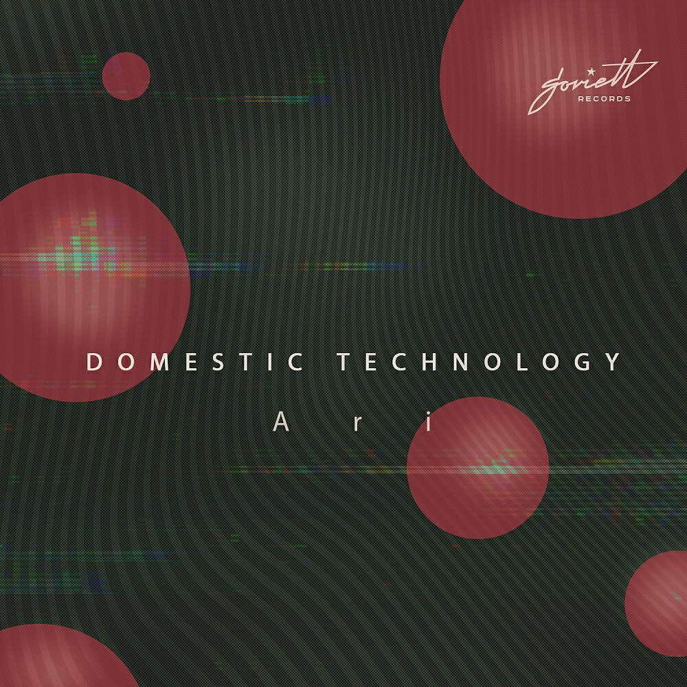 Domestic Technology - Ari (Diskette Remix)