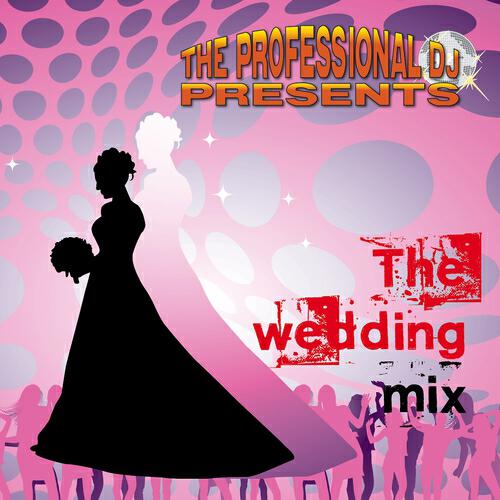The Professional DJ - On This Night of a Thousand Stars.. (Great Dance for Weddings...)