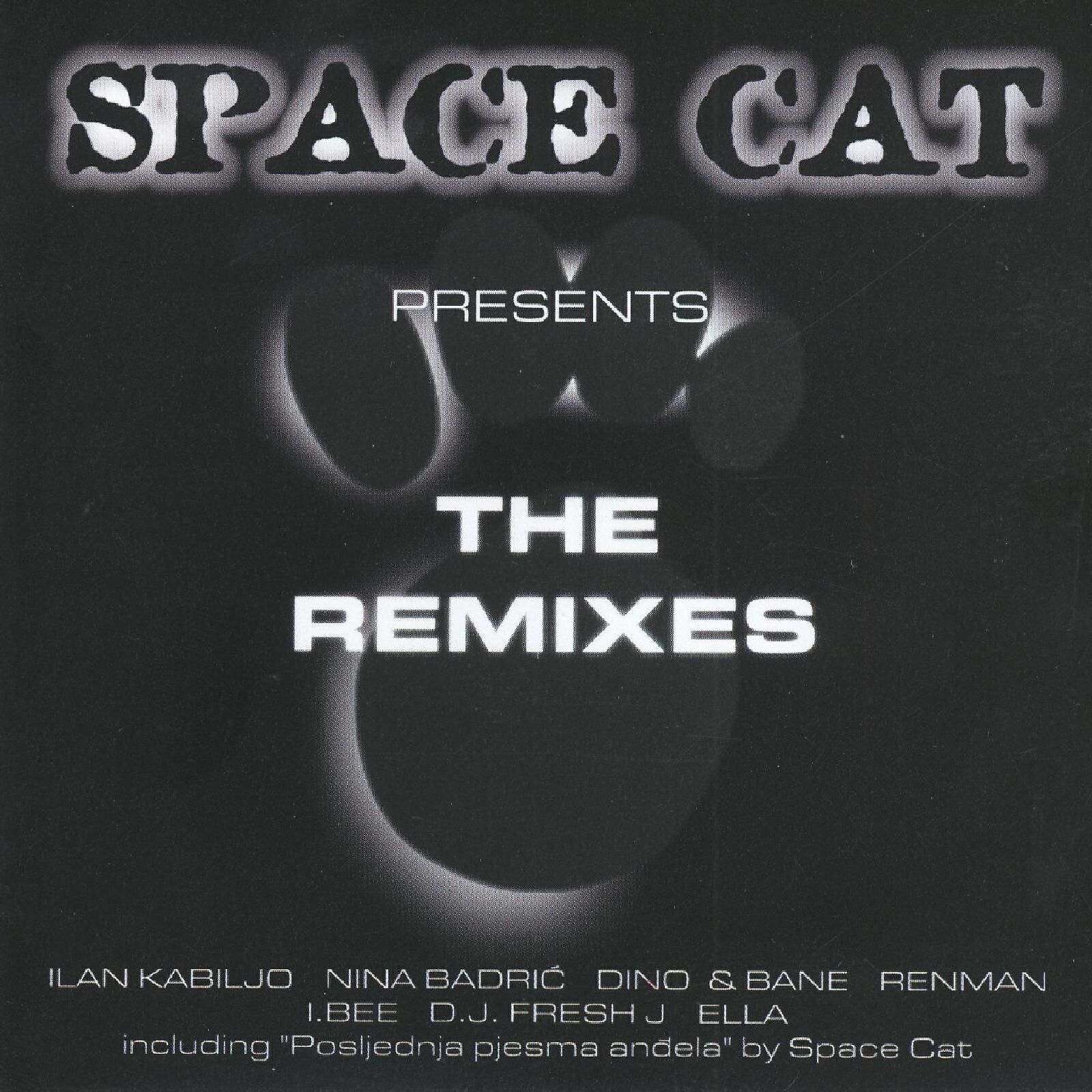 SpaceCat - Outro