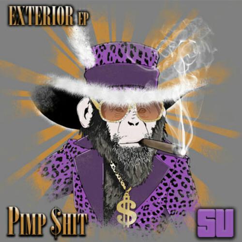 Pimp$hit (DF) - Exterior (Lee Webster Remix)