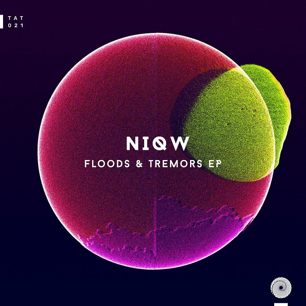 Постер альбома Floods & Tremors EP