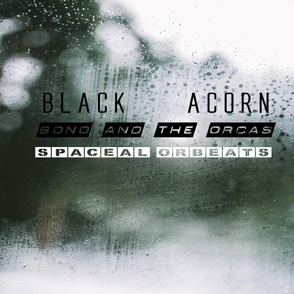 Black Acorn - Old Late Nights (Original Mix)