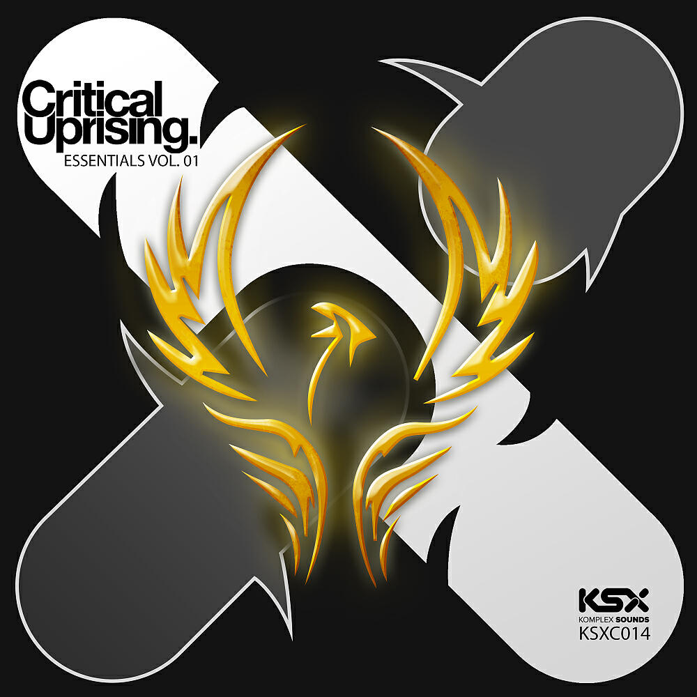 Harmonic Rush - Rise (Craig Connelly Remix)