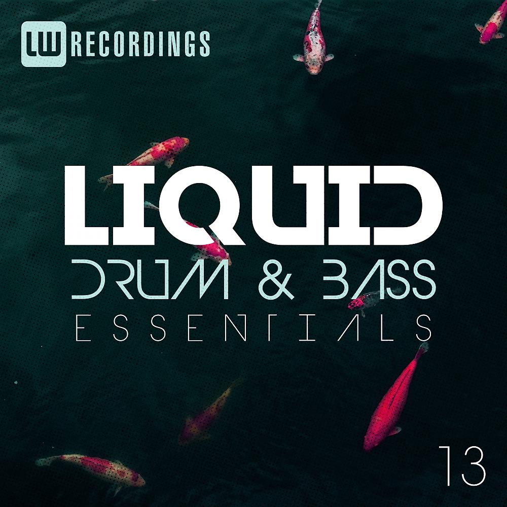 Постер альбома Liquid Drum & Bass Essentials, Vol. 13