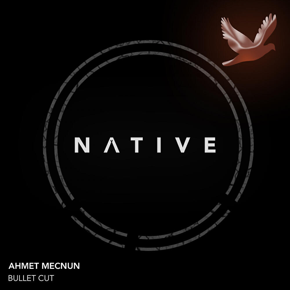 Ahmet Mecnun - Can't Hold Us (Milos Pesovic Remix)