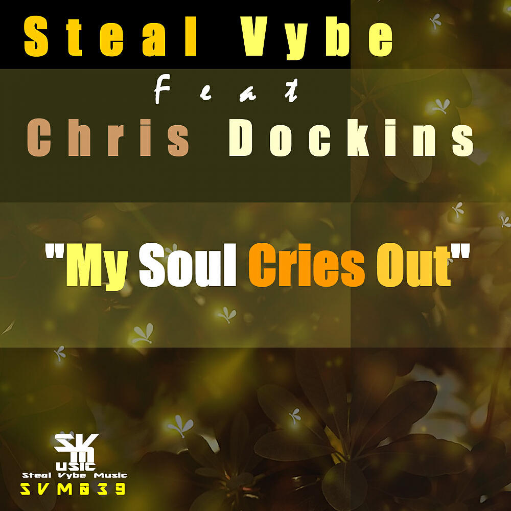 Steal VYbe - My Soul Cries Out (Demo Mix)