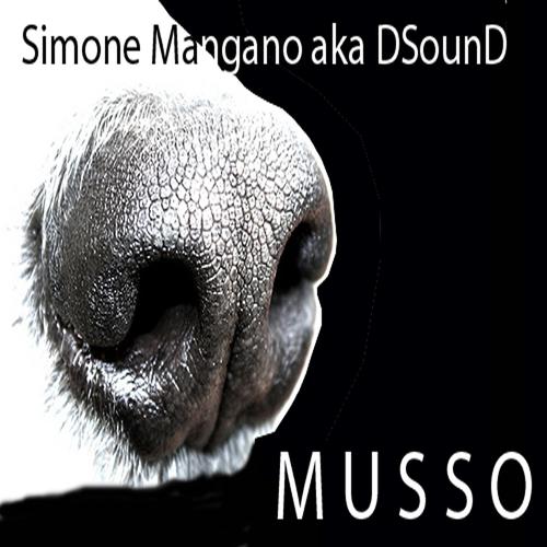 Постер альбома Musso