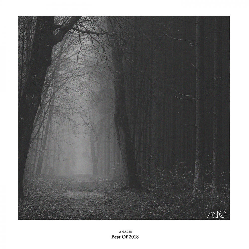Solar Debris - Death & Legacy (Fixon Remix)