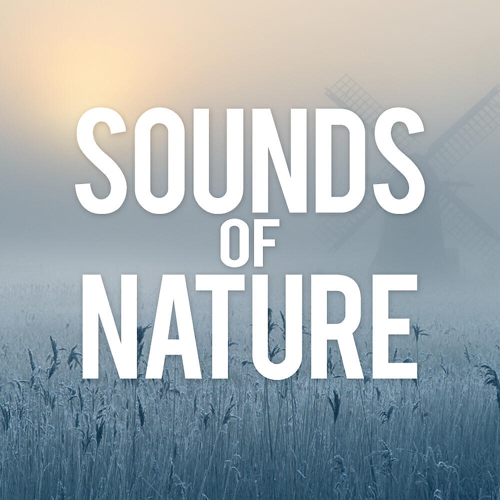 Sounds Of Nature - A Thunderstorm In Norway (Original Mix)