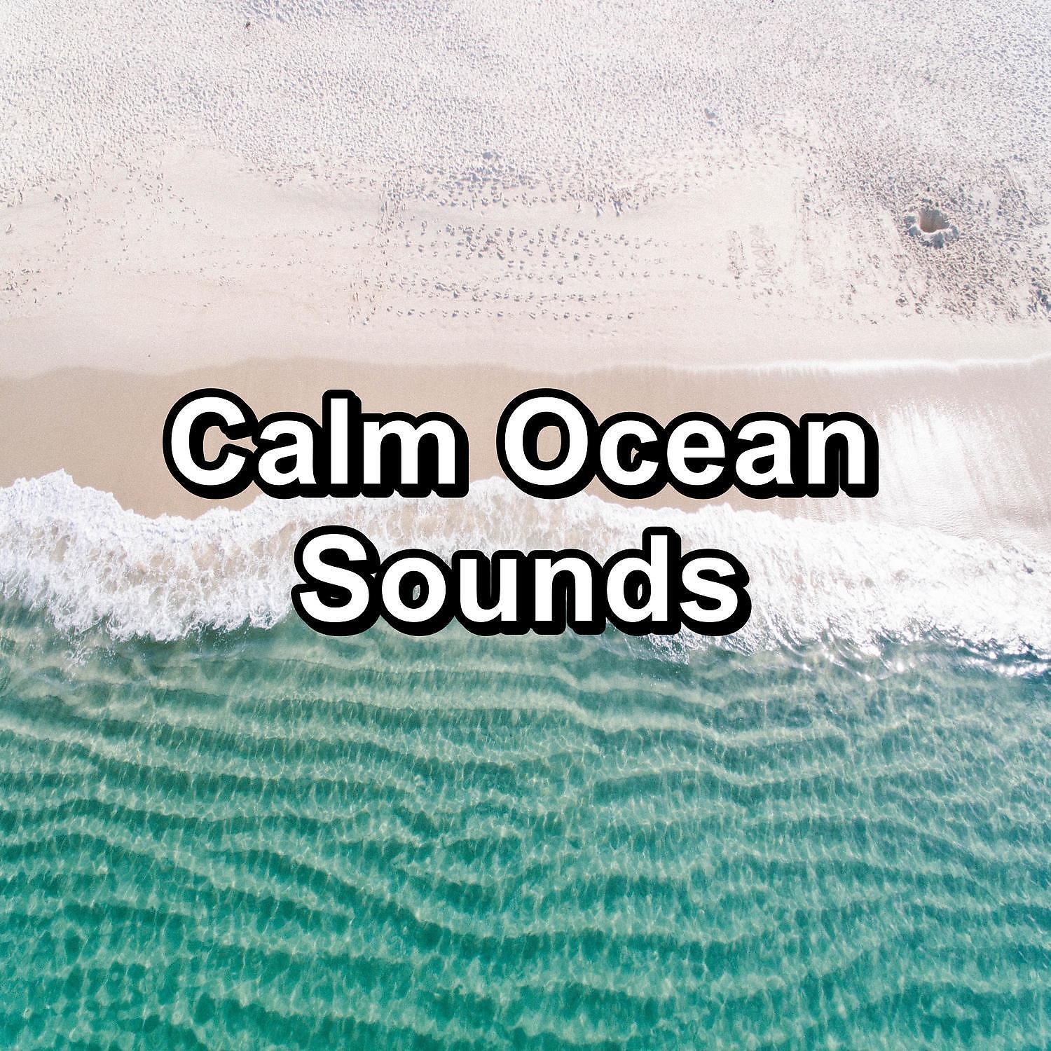 Waves of the Sea - Cool Ocean Waves Water Sounds Help with Studying