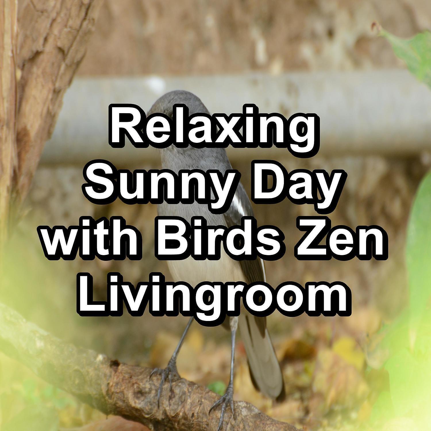 Ocean Waves for Deep Sleep - Calm Bird Sounds For a Cozy Living Room For Babies