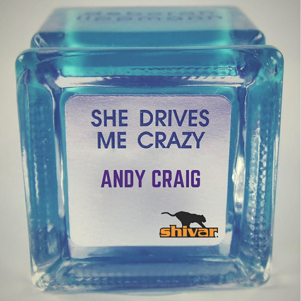 Andy Craig - She Drives Me Crazy (Radio Mix)