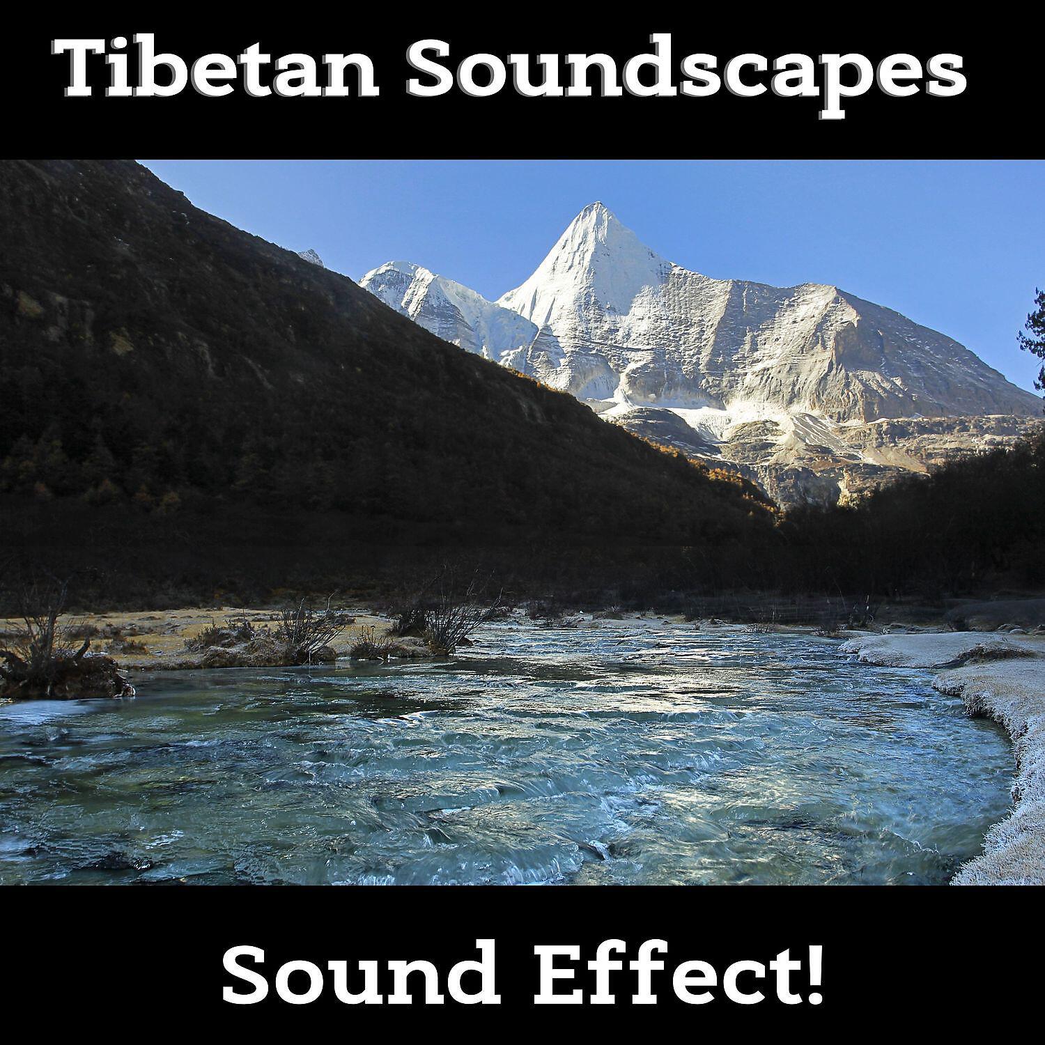 Sound Effect! - Stress Relief Deep Studying (Waves Sound)