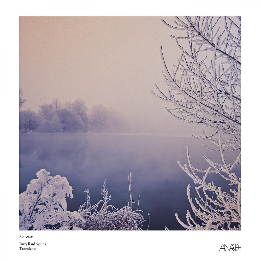 Jorg Rodriguez - Point In (Original Mix)