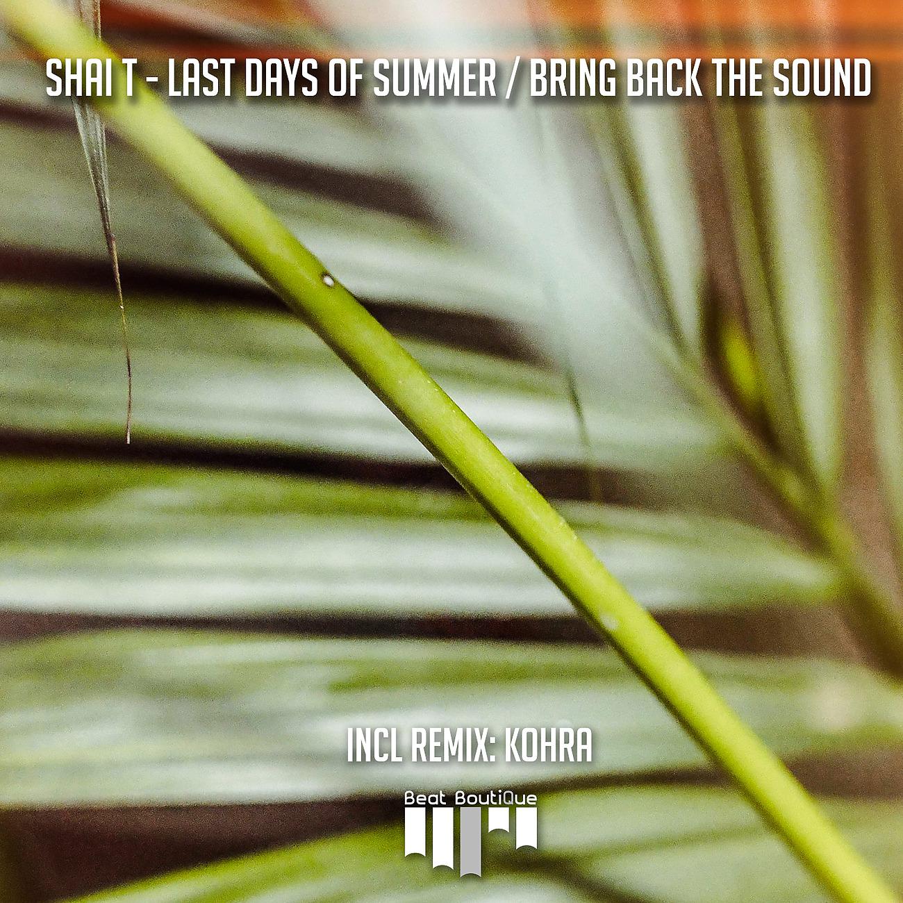 Постер альбома Last Days of Summer / Bring Back The Sound