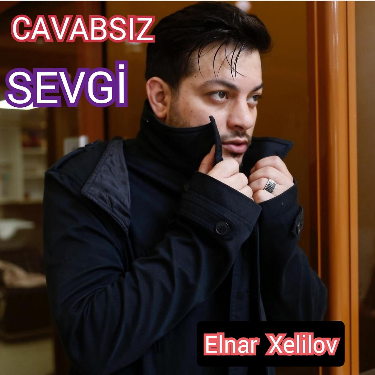 Elnar Xelilov - Aslan Parçası