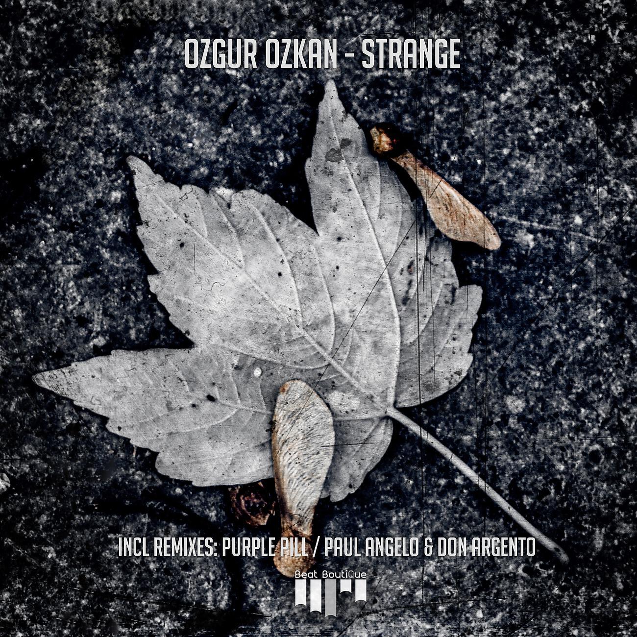 Ozgur Ozkan - Strange (Paul Angelo & Don Argento Remix)