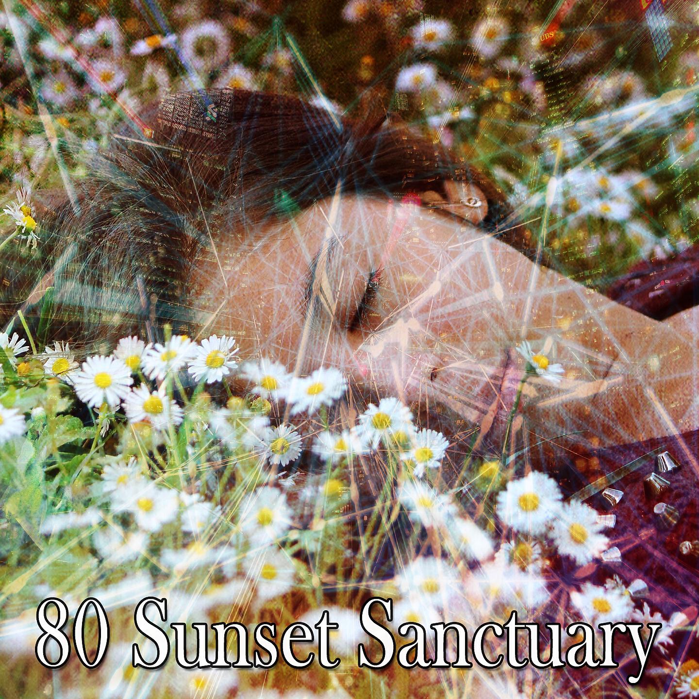 Baby Sweet Dream - Sleep Finder