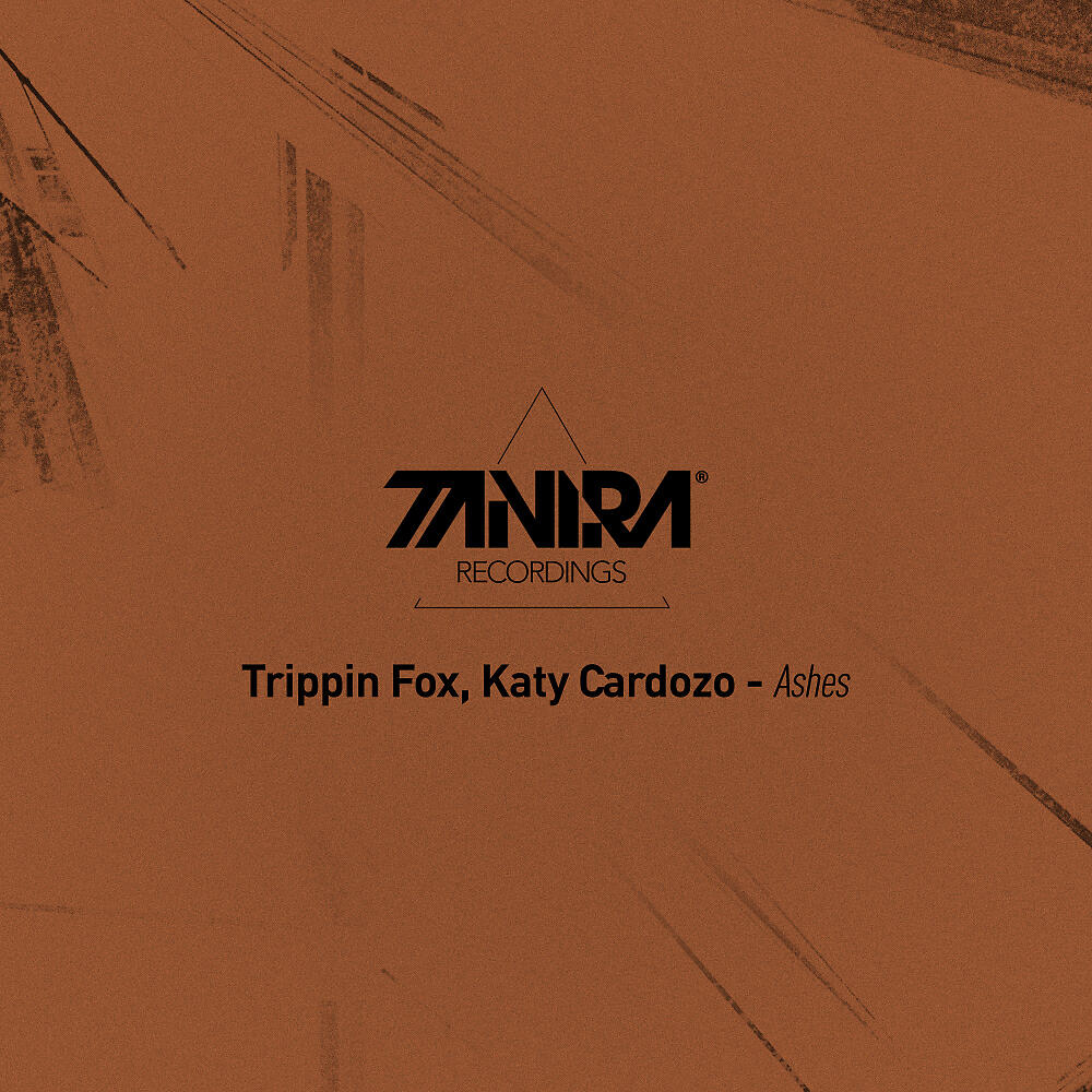 Trippin Fox - Ashes To Ashes (DJ Dextro Remix)