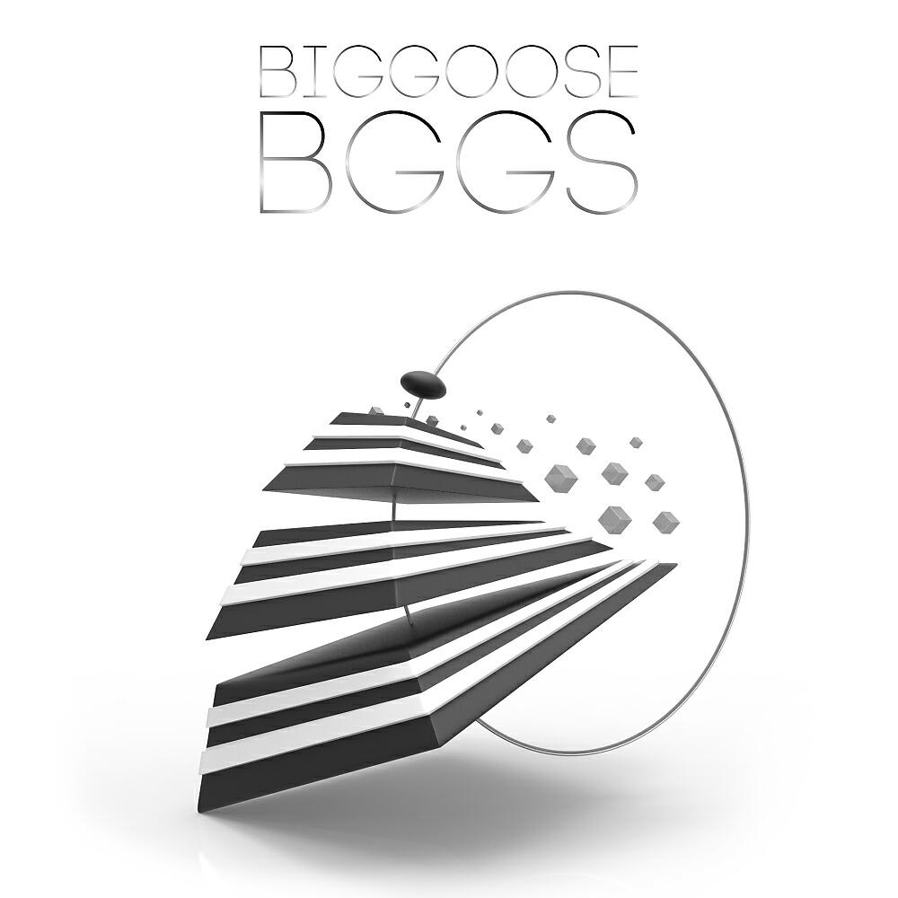 Biggoose - Bggs (Original Mix)