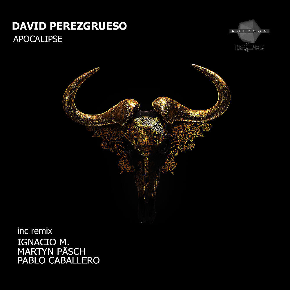 David Perezgrueso - Apocalipse (Martyn Päsch Remix)