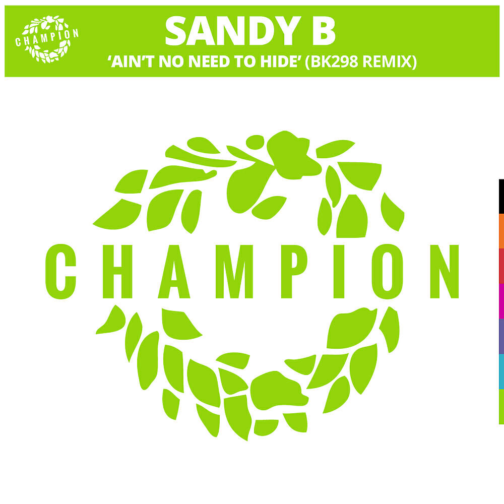 Sandy B - Ain't No Need To Hide (BK298 Extended Remix)