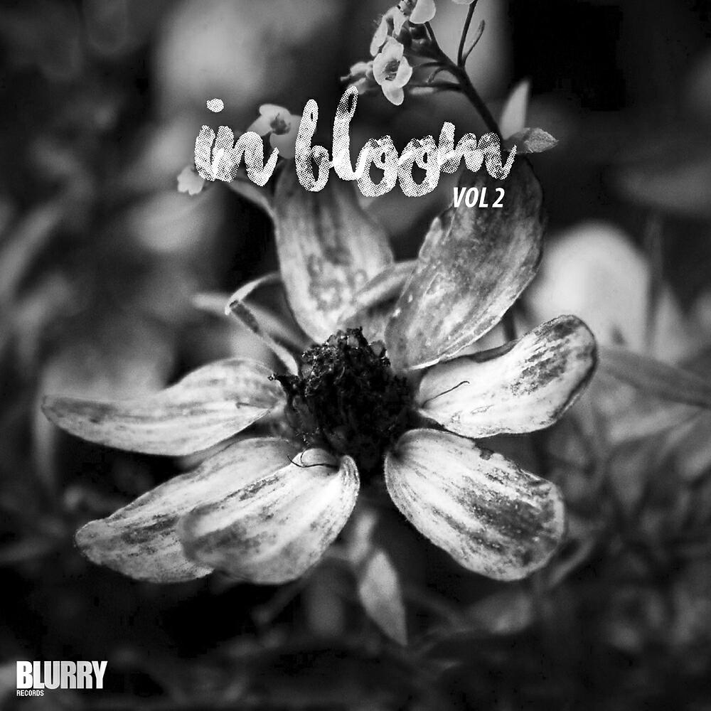 Hiago Pauli - Ciano (Original Mix)