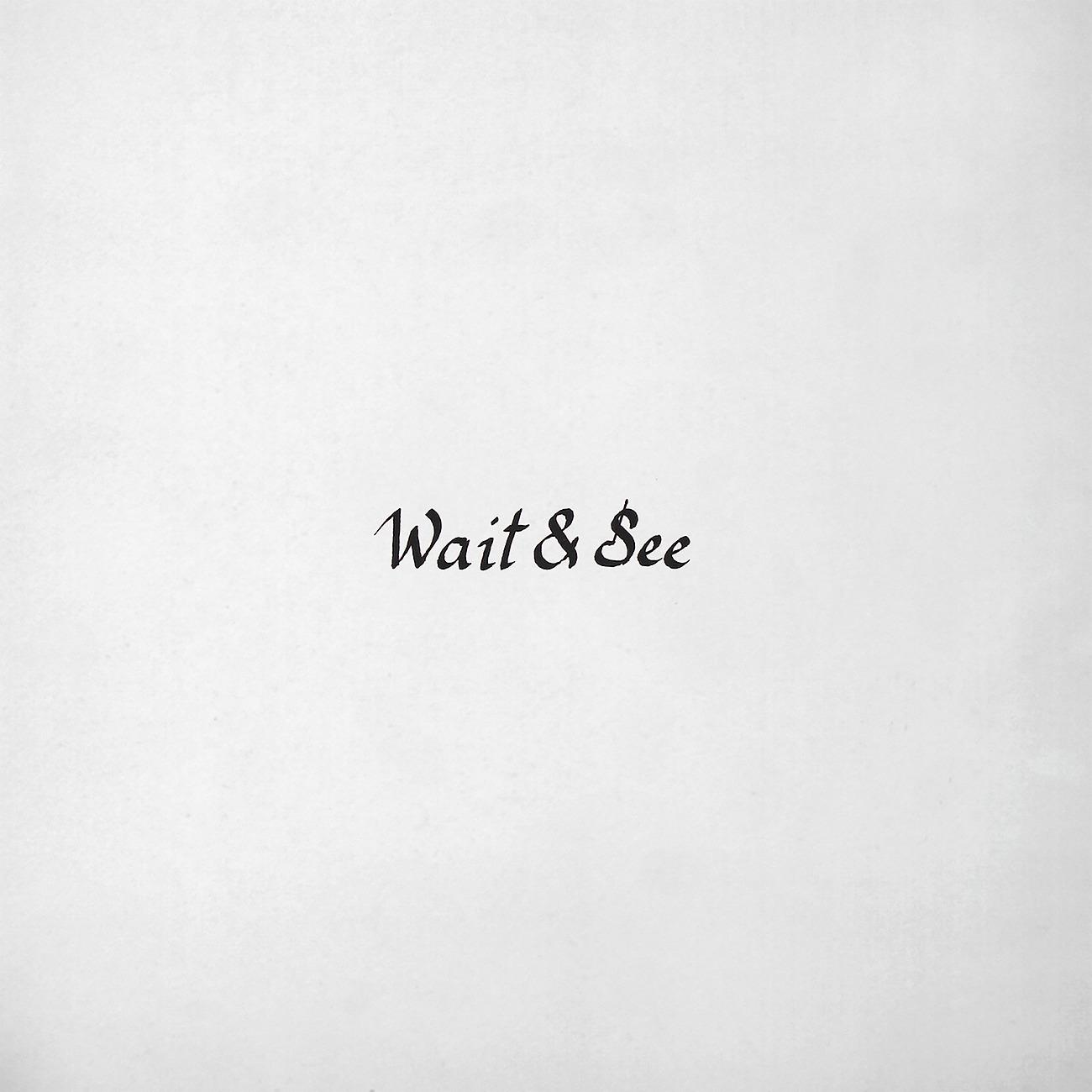 Постер альбома Wait & See