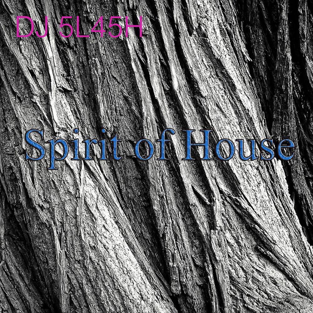 DJ 5L45H - Ravin Sm4rt (Original Mix)