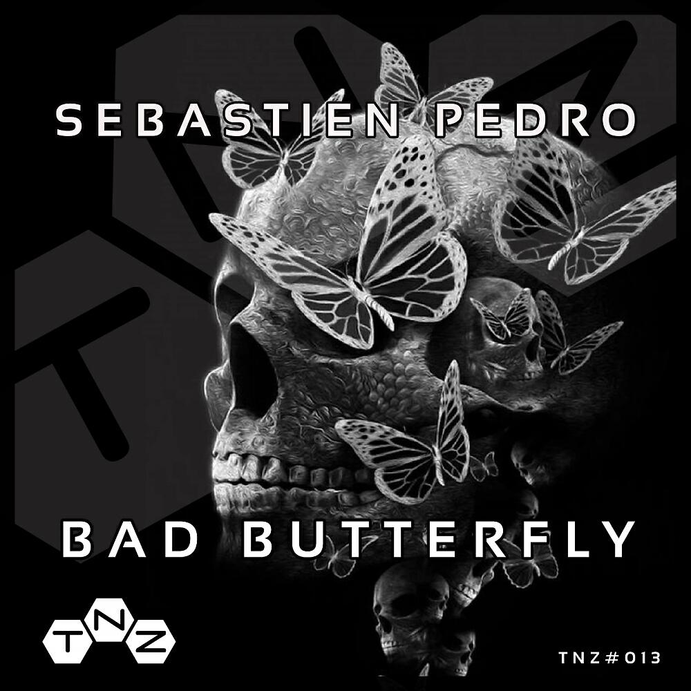 Sebastien Pedro - Outworld (Original Mix)