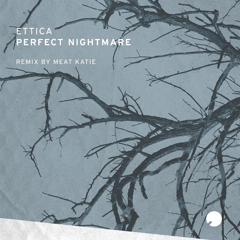 Постер альбома Perfect Nightmare