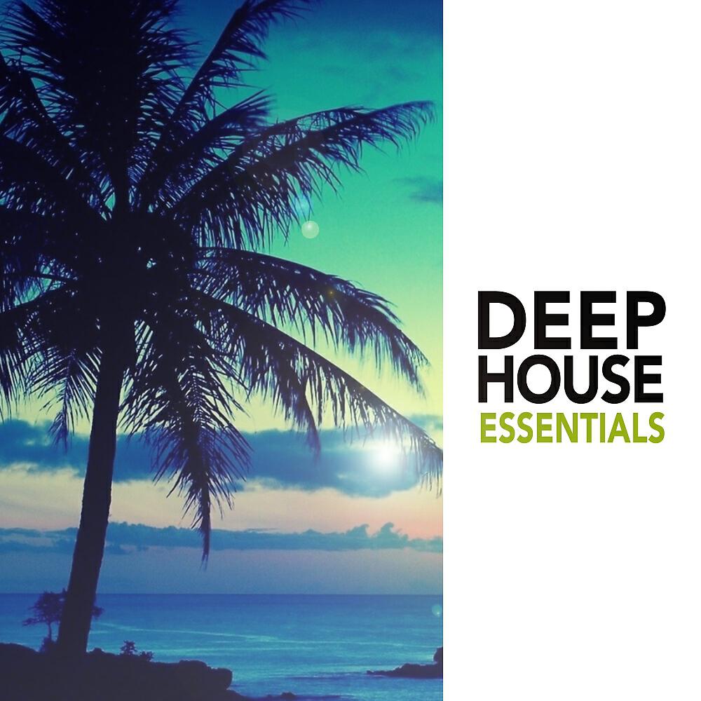 2017 Deep House - Beach Run (Original Mix)
