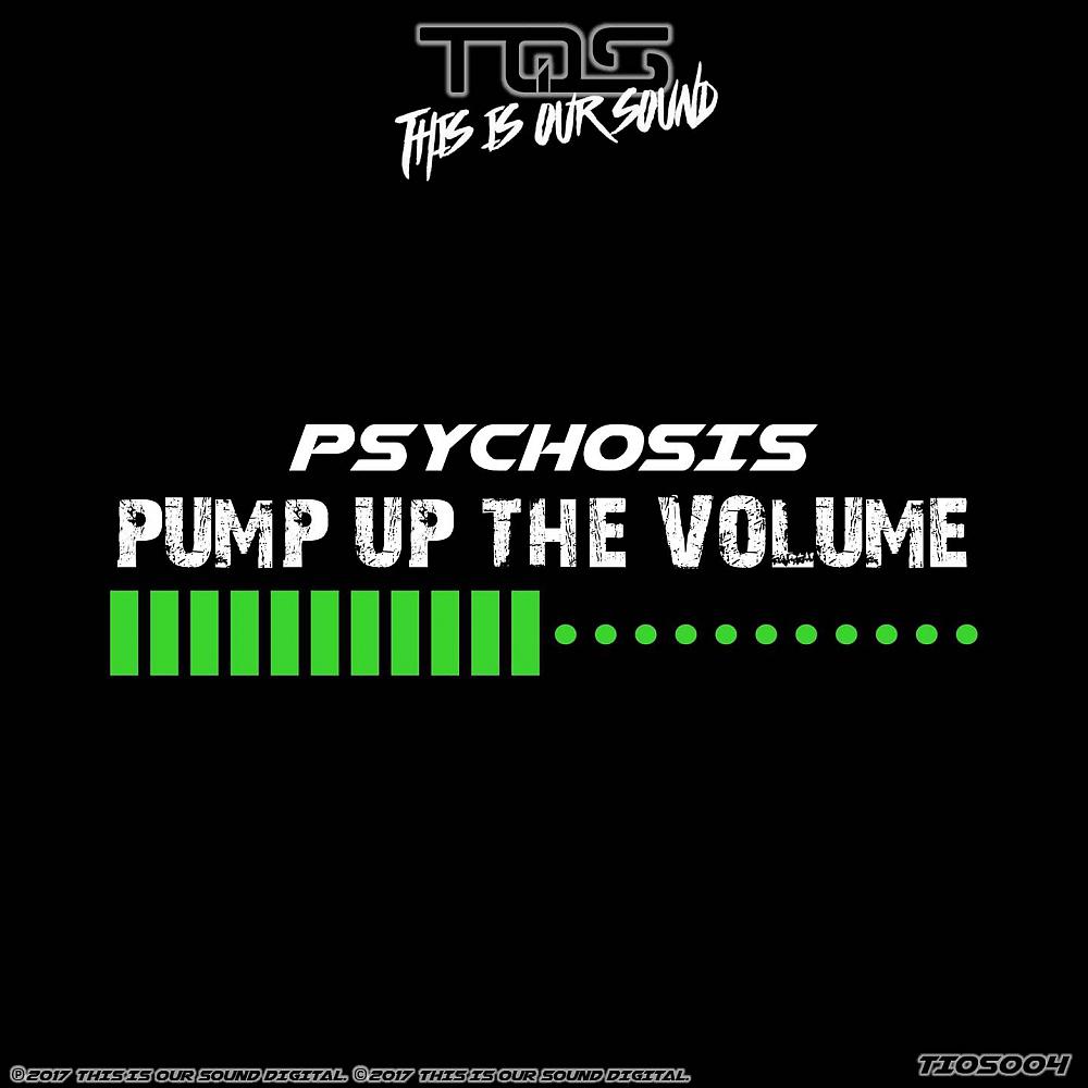 Постер альбома Pump Up The Volume