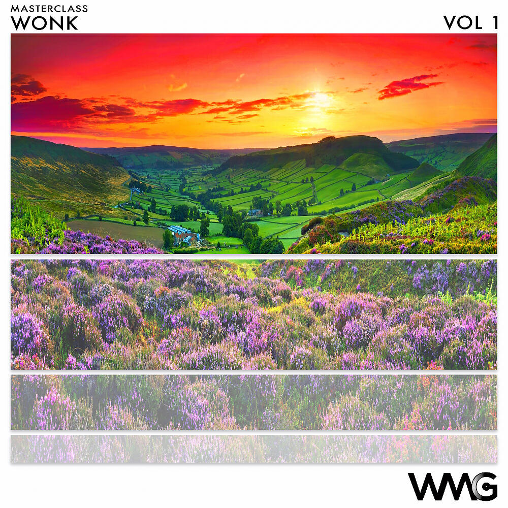 Root Sellers - Front Heavy Funk (WoNK Radio Remix)