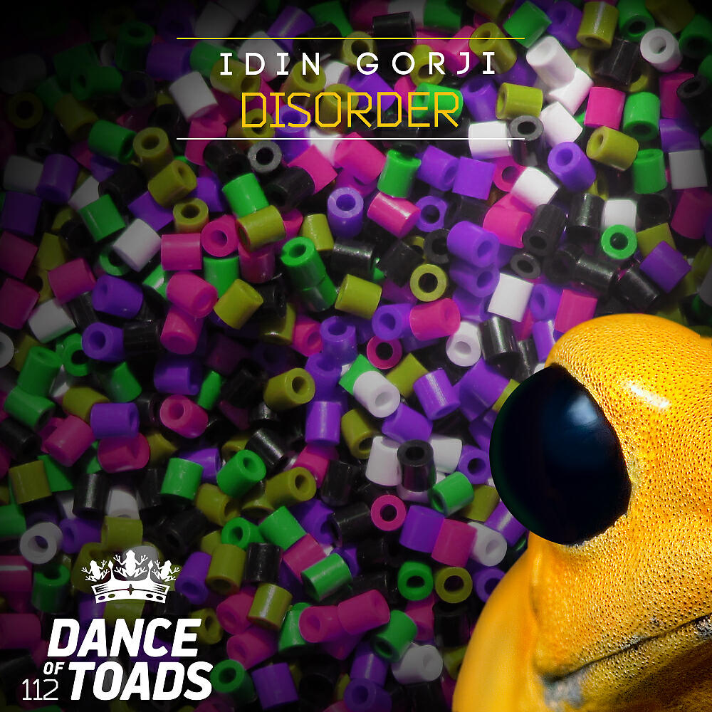 Idin Gorji - Disorder (Extended Mix)