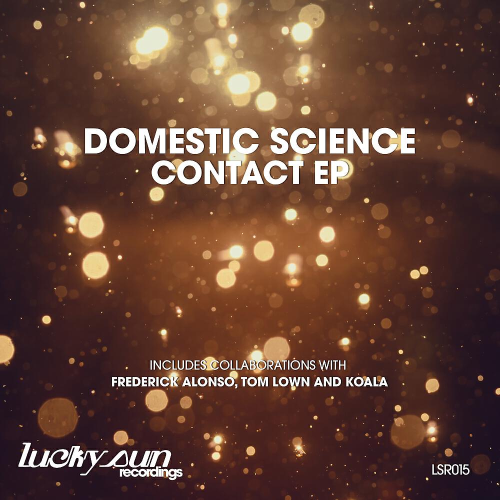 Domestic Science - The Message (Original Mix)