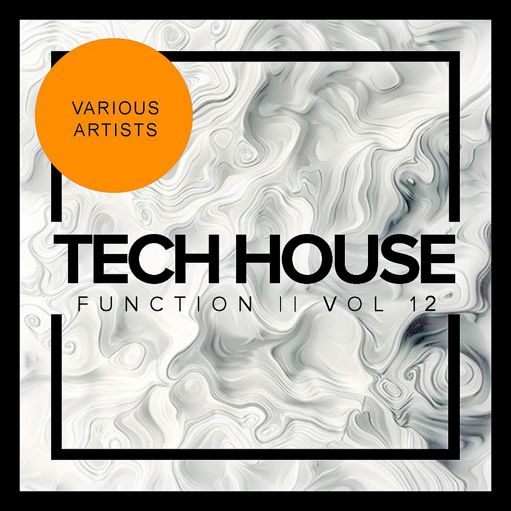 Постер альбома Tech House Function, Vol.12