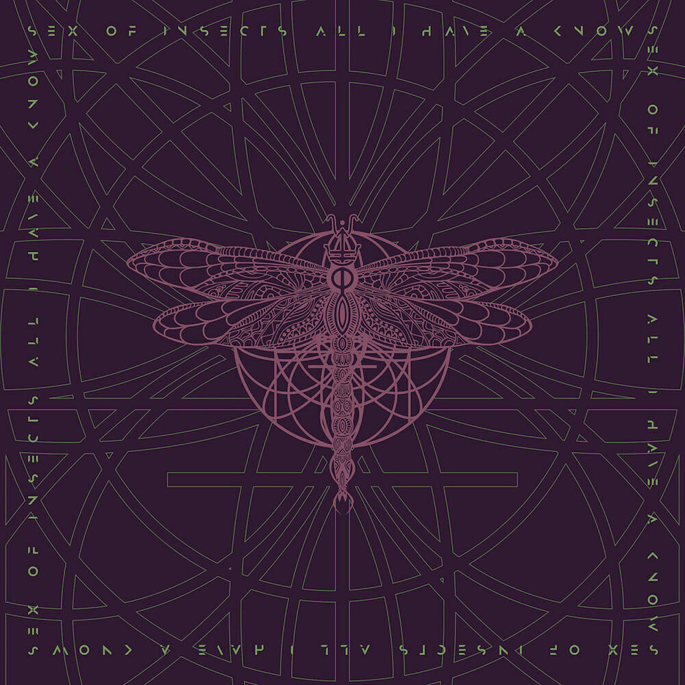 Sex Of Insects - All I Have A Know (Banco De Gaia Instrumental)