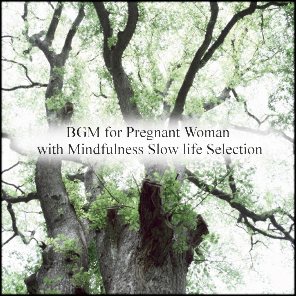 Mindfulness Slow Life Selection - Birthday & Music Therapy (Original Mix)