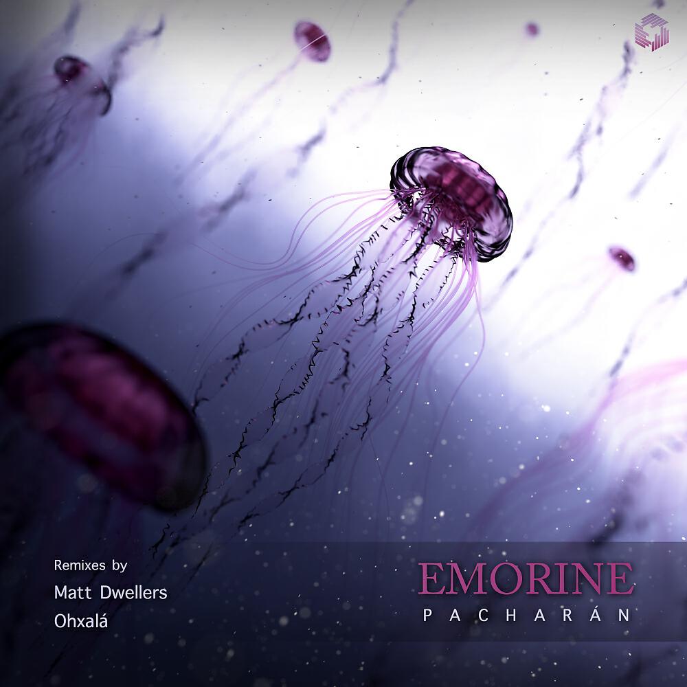 Emorine - Polaroid (Matt Dwellers Remix)