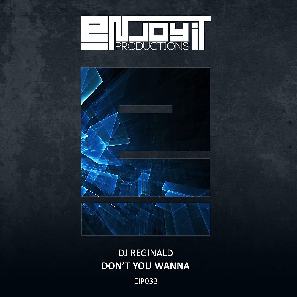 DJ Reginald - Don't You Wanna (Original Mix)