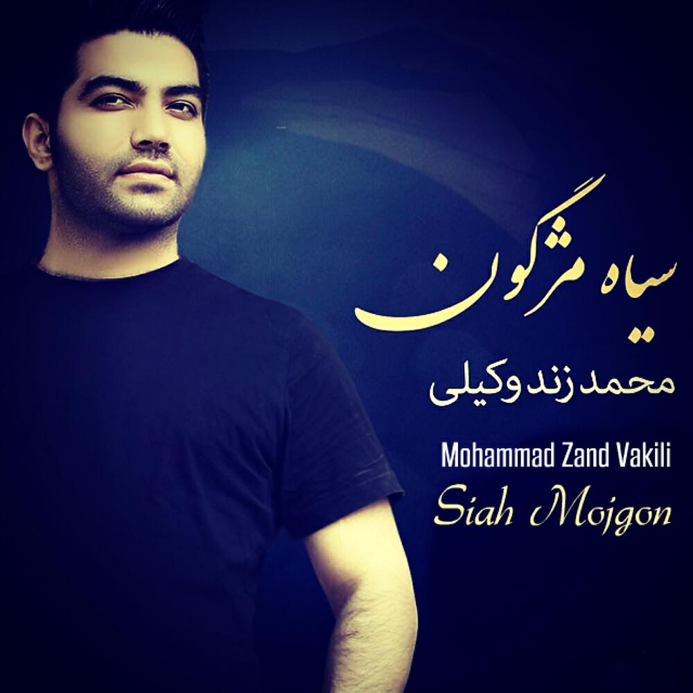 Mohammad Zand Vakili - Siah Mojgon (Original Mix)