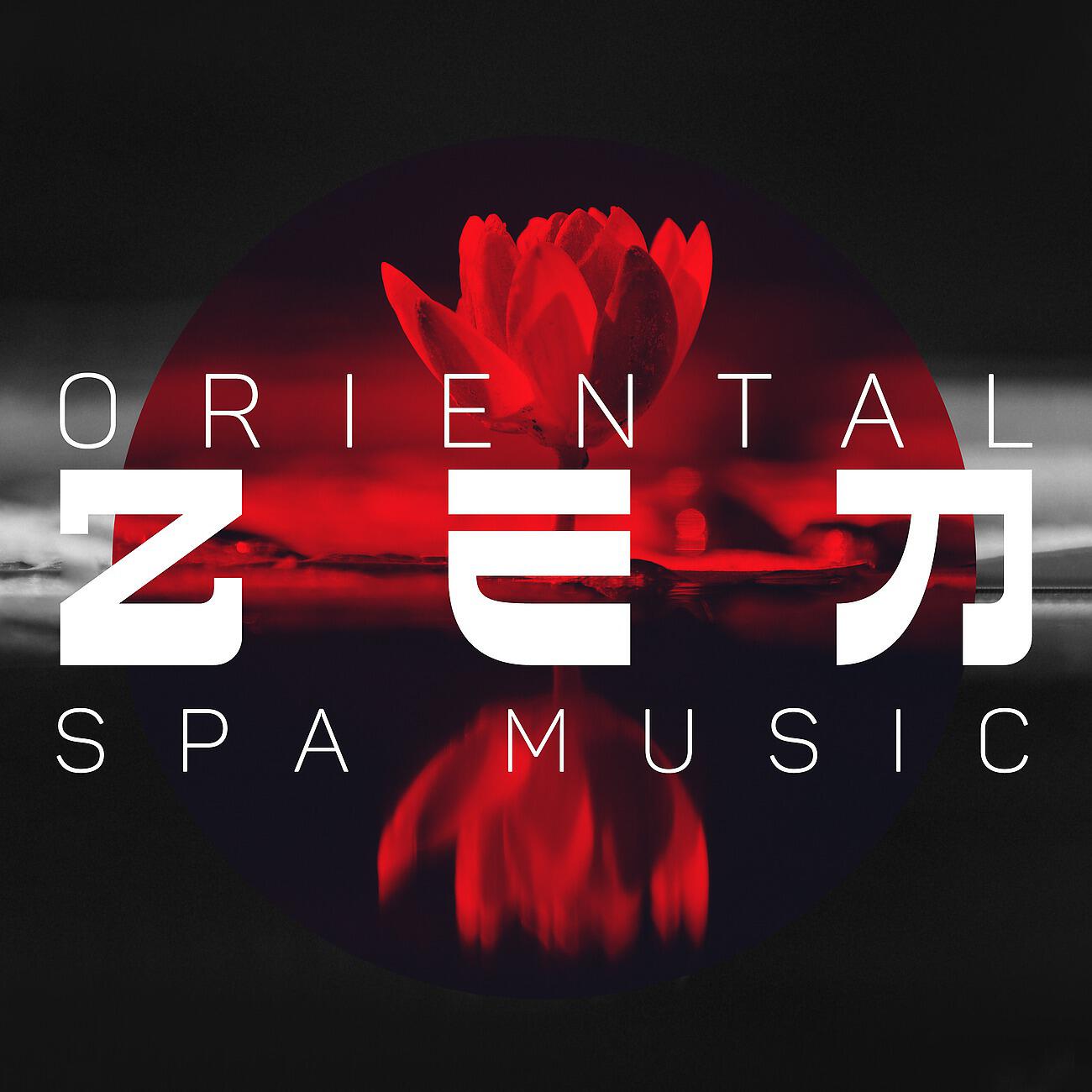 Relaxing Spa Music Zone - Crickets at Night